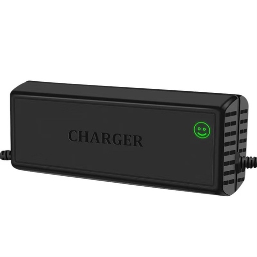 Зарядний пристрій 24в 29.4v 15a